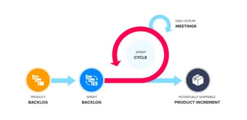 7 Common Mistakes in Agile Software Development | Net Solutions