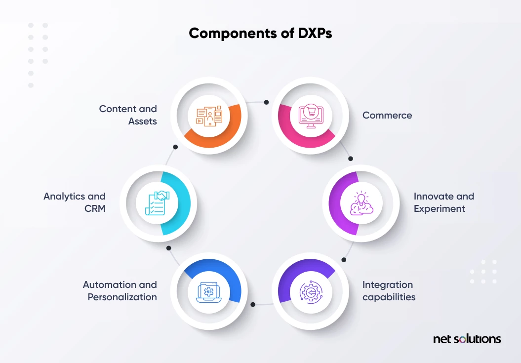 components-of-dxp